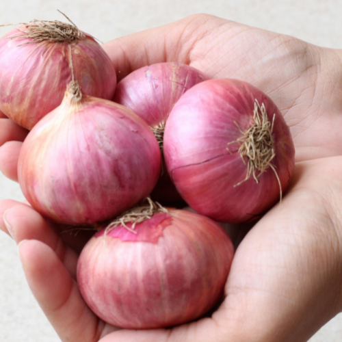 Onions